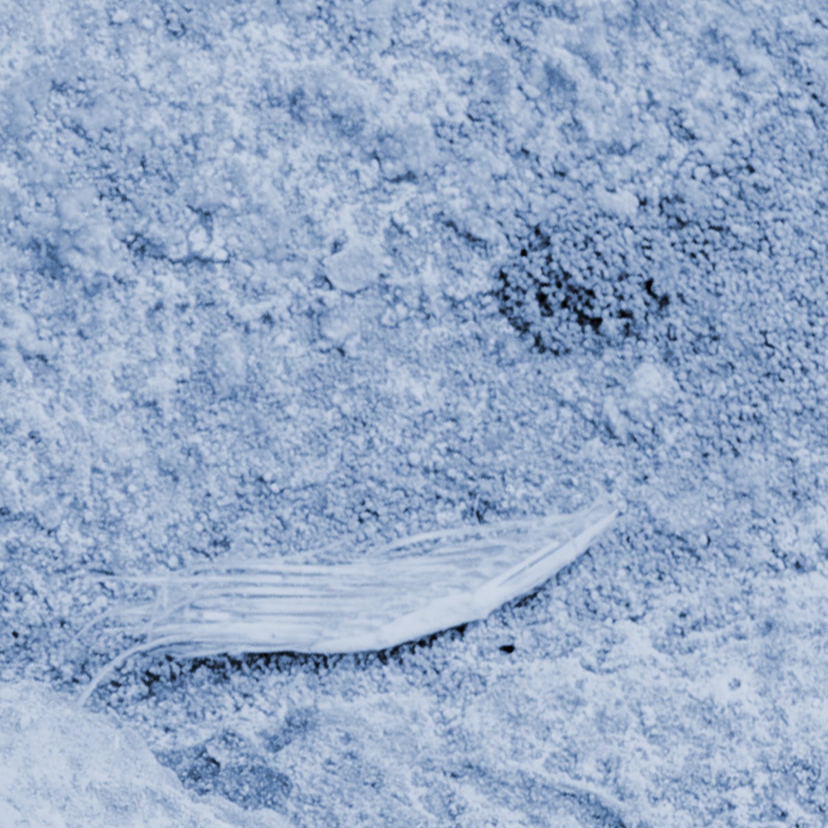 Episode artwork