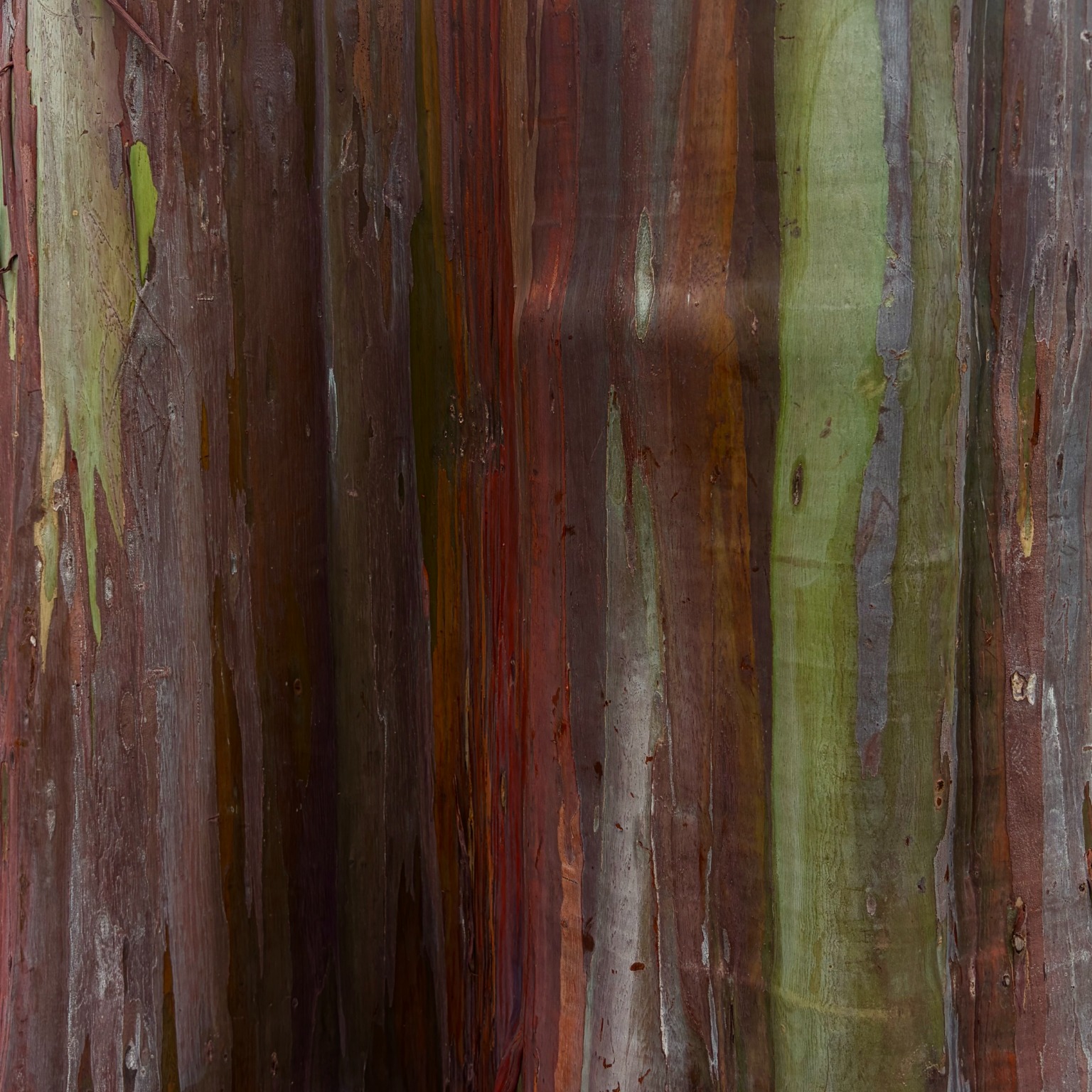 Episode artwork