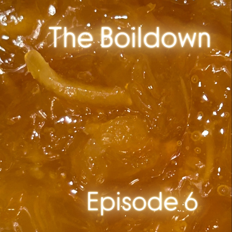 Episode artwork