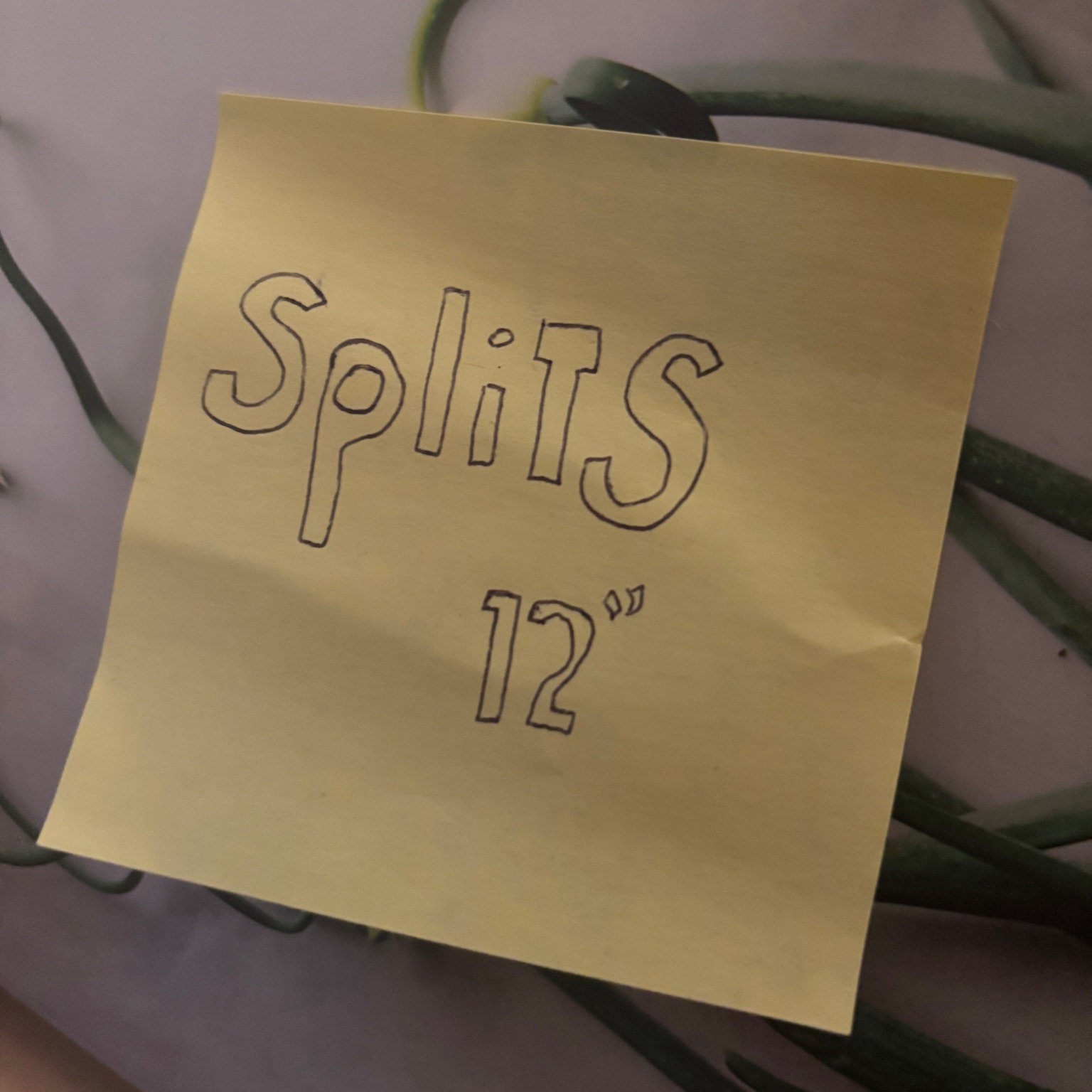 Episode artwork
