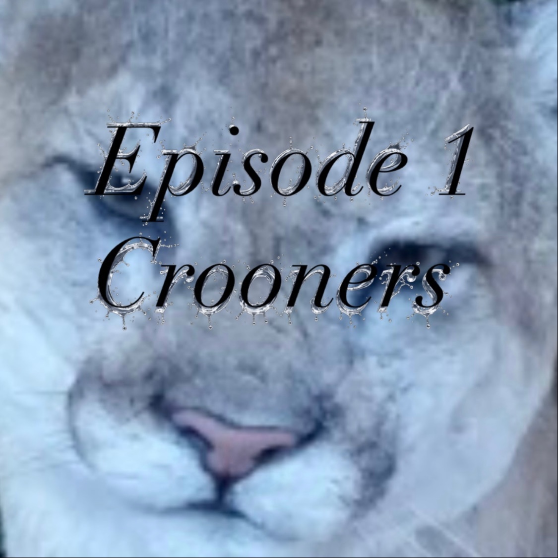 Episode artwork