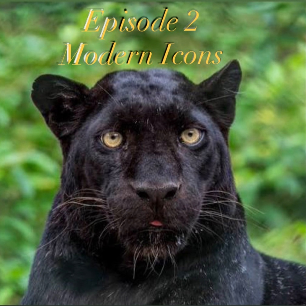 Episode artwork