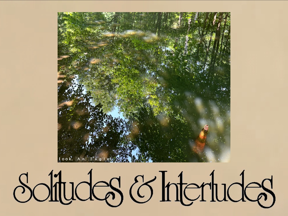 Solitudes and Interludes logo