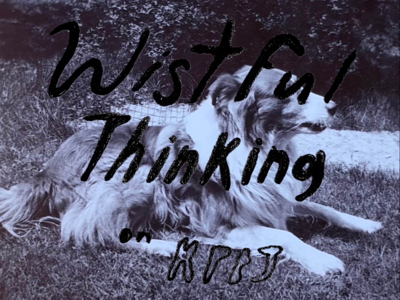 Wistful Thinking logo