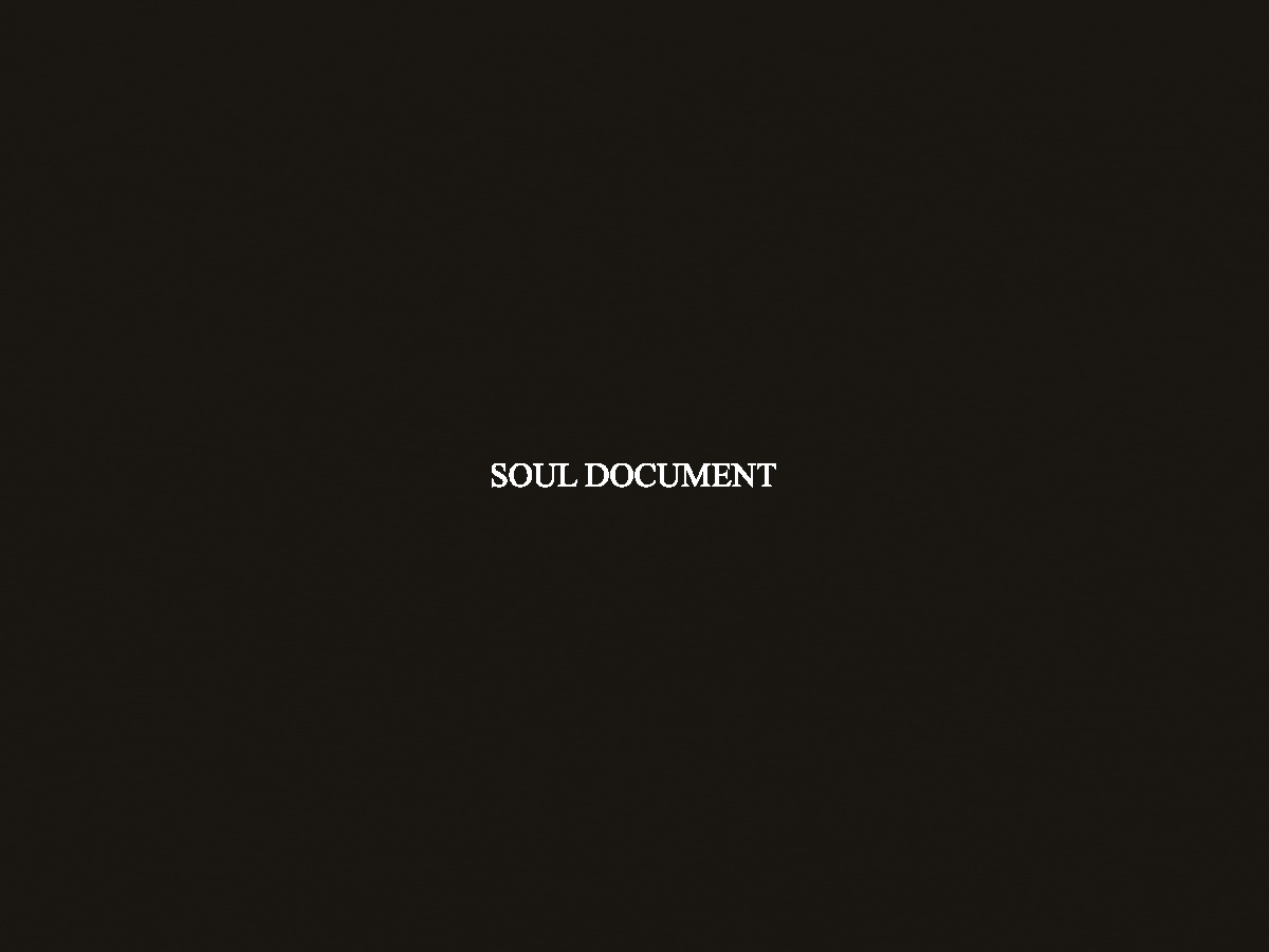 Soul Document logo